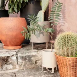 Bau Pot Small