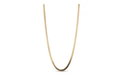 Caroline Halsband