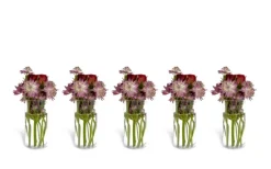 Constella Glasinsats 5-pack