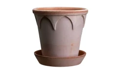 Elizabeth Kruka 16cm Rosa