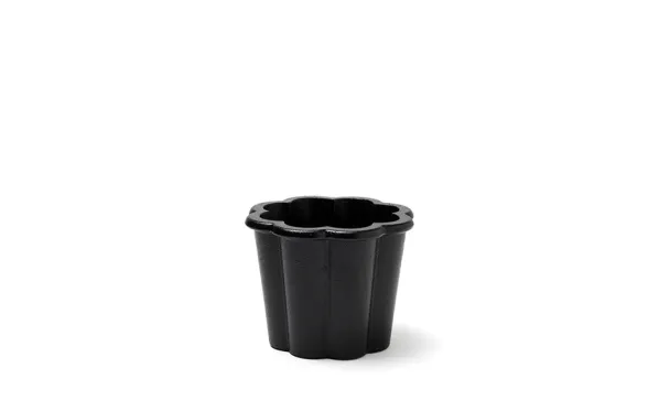 Fjällsippa Kruka