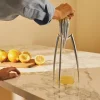 Juicy Salif Citruspress