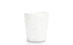 Lace Mugg