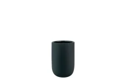 Lotus Tandborstmugg