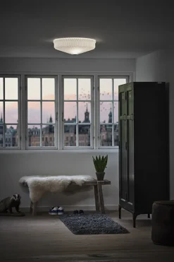 Model 30-58 Plafond