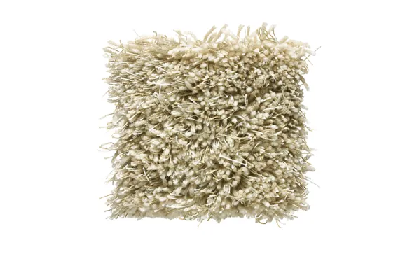 Moss Matta