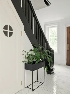 Plant Box