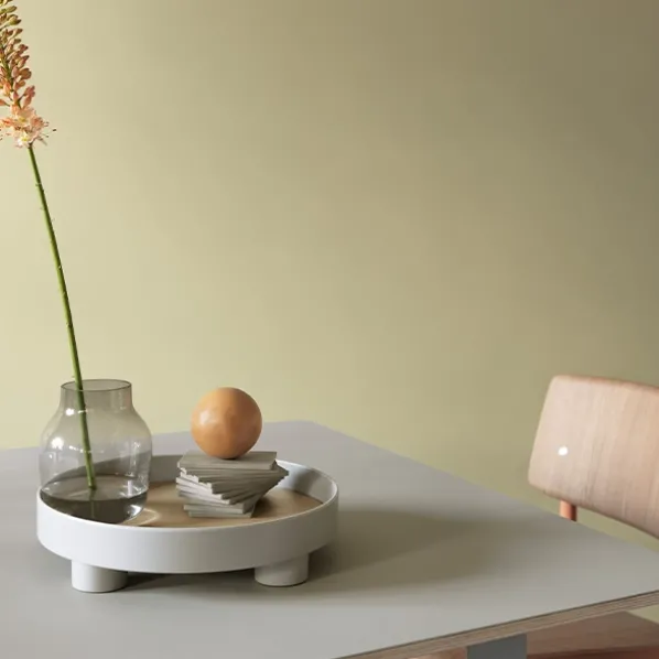 Platform Tray