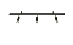 Star 3 Spotlight