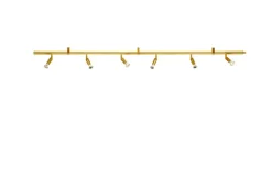 Star 6 Spotlight