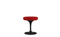 Tulip Pall
