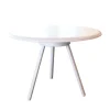 Zebra Coffee Table